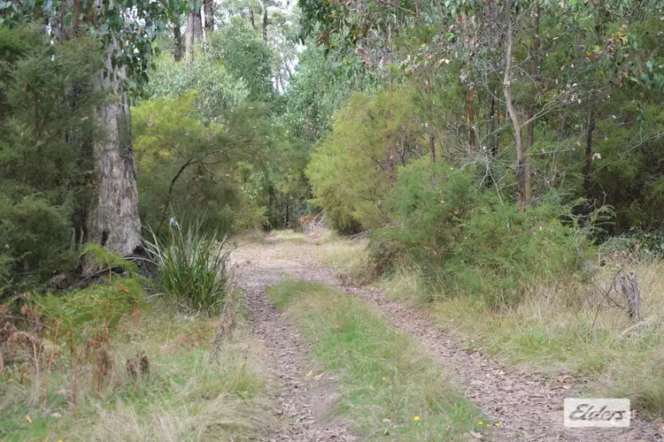 Seventh view of Homely rural property listing, 710 Forresters Road, Hallston VIC 3953