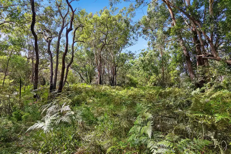 Sixth view of Homely rural property listing, 155 Pine Street, Wardell NSW 2477