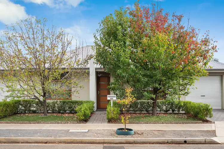45 Allison Street, Ascot Park SA 5043