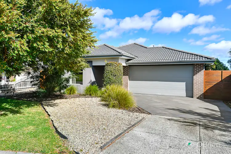 Main view of Homely house listing, 46 Triumph Way, Skye VIC 3977