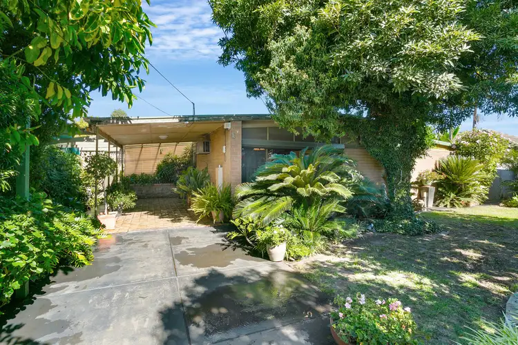 Second view of Homely house listing, 5 Bristol Avenue, Camden Park SA 5038