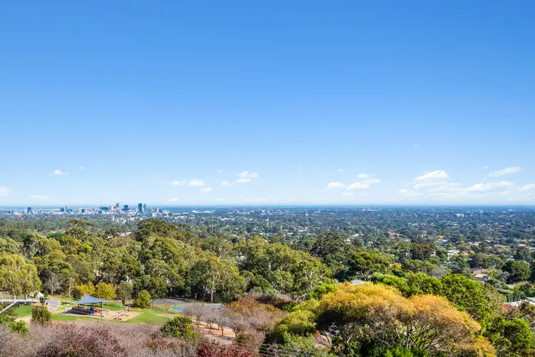 1 Palomino Road, Auldana SA 5072