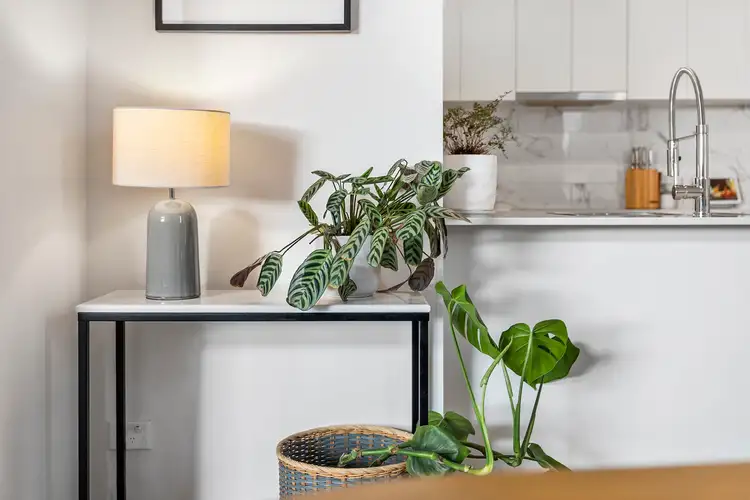 Fourth view of Homely apartment listing, 4/5 Hely Street, Griffith ACT 2603