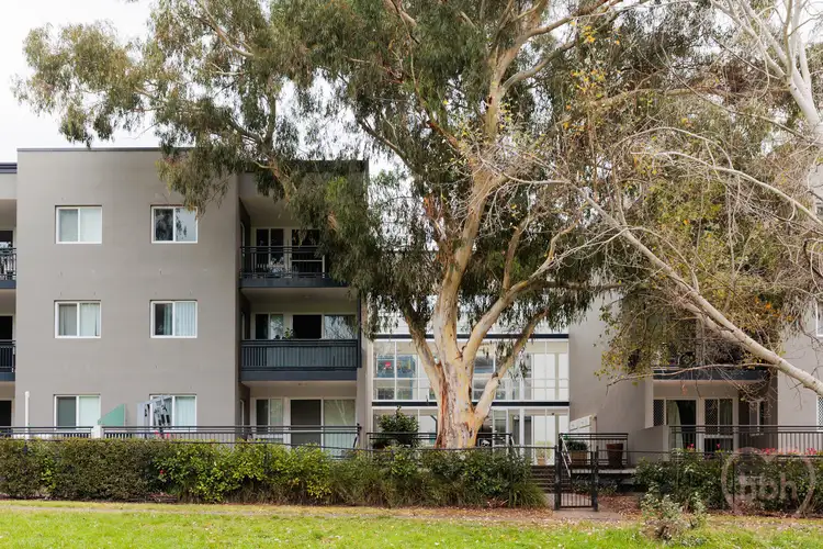 Main view of Homely unit listing, 115/68 Hardwick Crescent, Holt ACT 2615