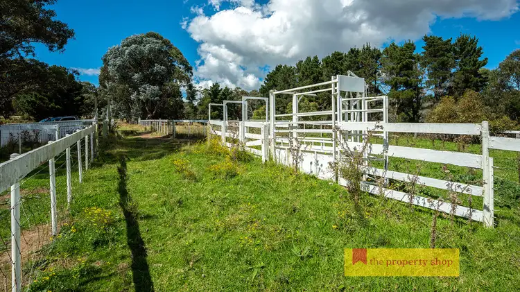 Fifth view of Homely rural property listing, Part 2 / 1675 Bocoble Road, Mudgee NSW 2850