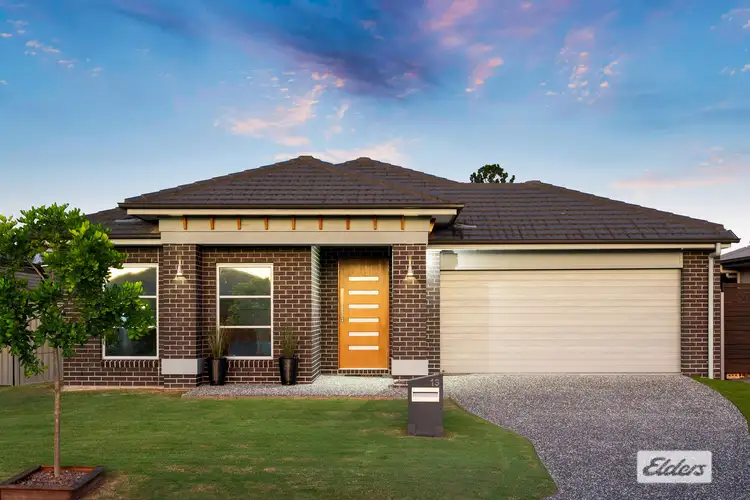 Main view of Homely house listing, 13 Murphy Drive, Loganholme QLD 4129