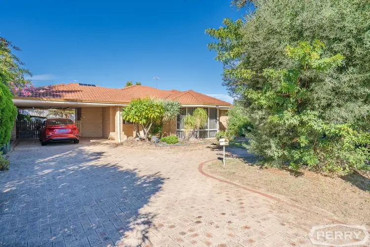 Main view of Homely house listing, 144 McLarty Road, Halls Head WA 6210