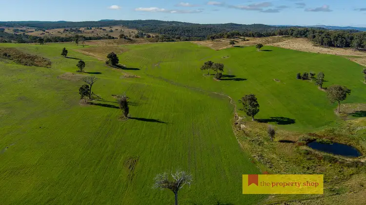 Second view of Homely rural property listing, 543 Triamble Road, Mudgee NSW 2850