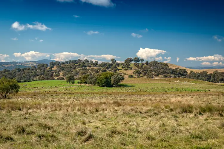 Sixth view of Homely rural property listing, 612 Mountain Creek Road, Uriarra NSW 2611