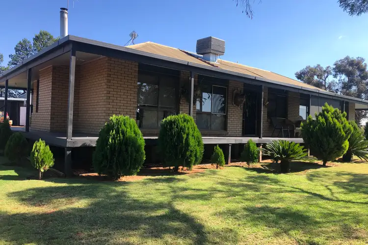 Main view of Homely rural property listing, 46 Damour Road, Robinvale VIC 3549
