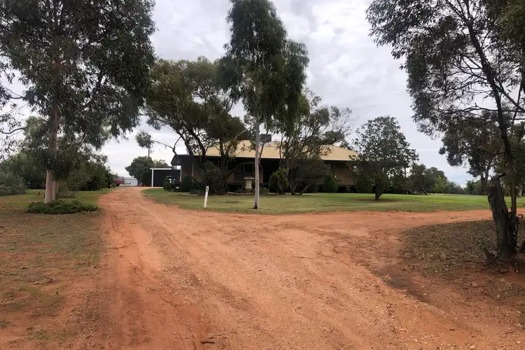 Second view of Homely rural property listing, 46 Damour Road, Robinvale VIC 3549