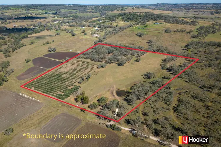 Main view of Homely rural property listing, LOT 3, 37 Palaroo Lane, Inverell NSW 2360