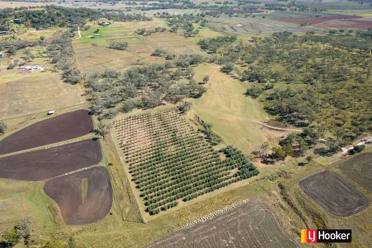 Second view of Homely rural property listing, LOT 3, 37 Palaroo Lane, Inverell NSW 2360