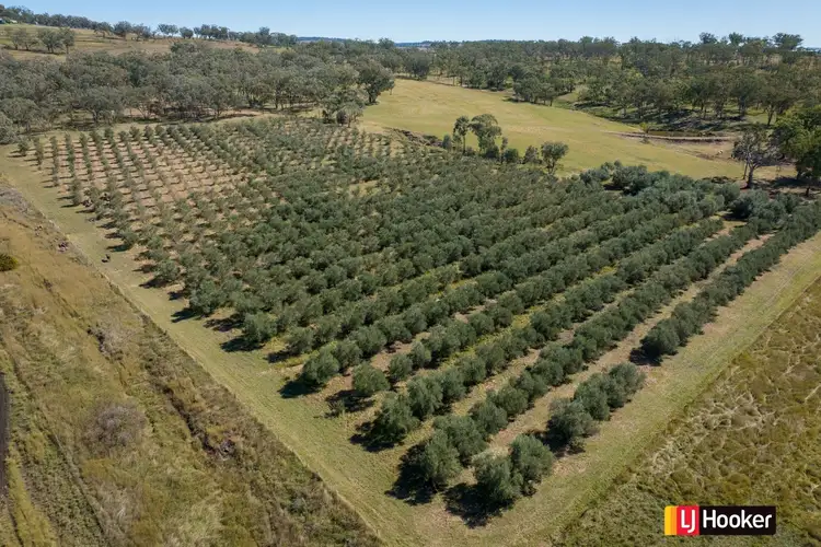 Fifth view of Homely rural property listing, LOT 3, 37 Palaroo Lane, Inverell NSW 2360