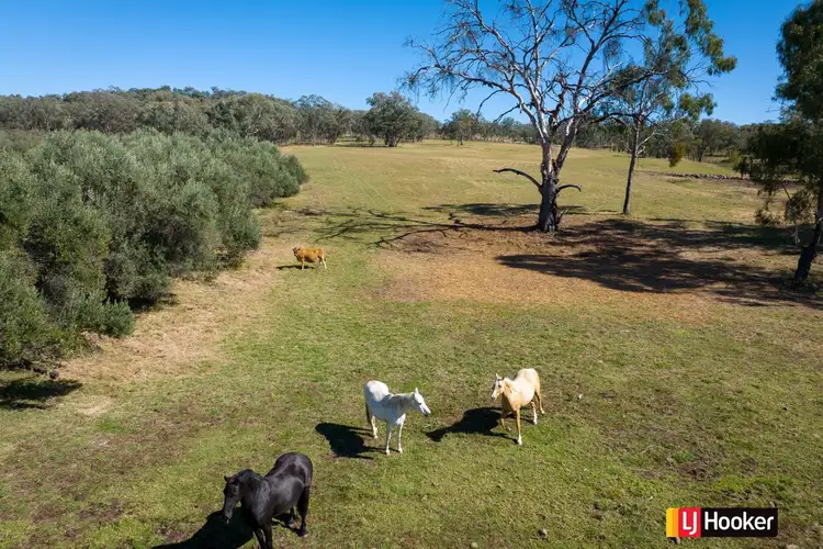 Seventh view of Homely rural property listing, LOT 3, 37 Palaroo Lane, Inverell NSW 2360