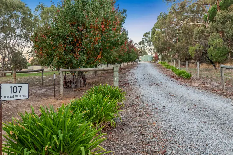Third view of Homely rural property listing, 107 Douglas Gully Road, Kangarilla SA 5157