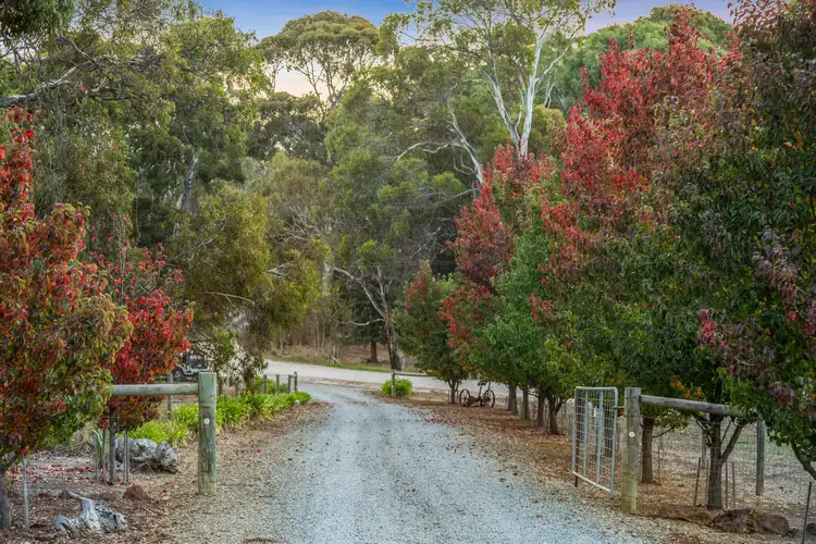 Fourth view of Homely rural property listing, 107 Douglas Gully Road, Kangarilla SA 5157