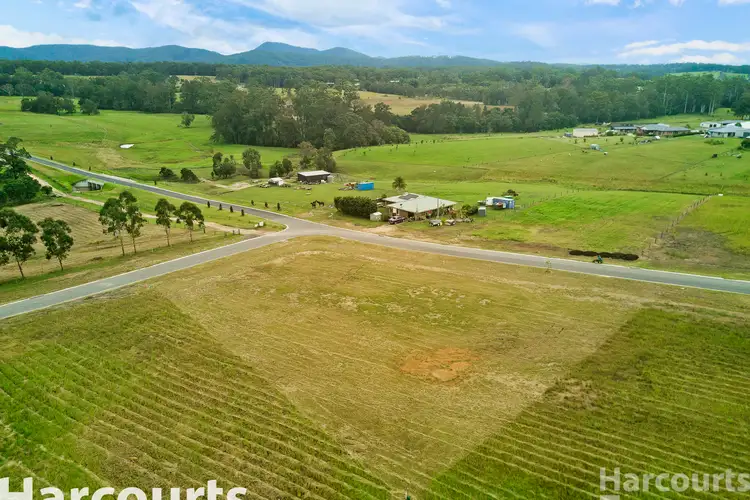 Main view of Homely land listing, LOT 207 Neville Road, Beechwood NSW 2446
