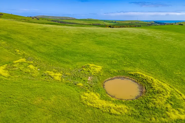 Sixth view of Homely rural property listing, Lot 1056 Bethel Road, Hay Flat SA 5204