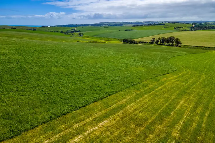 Seventh view of Homely rural property listing, Lot 1056 Bethel Road, Hay Flat SA 5204