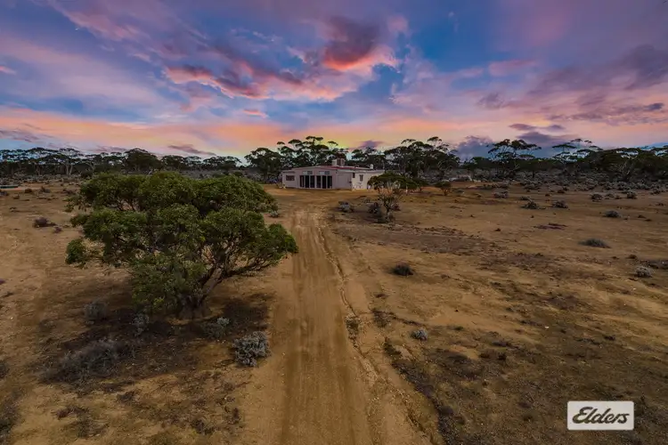 Second view of Homely rural property listing, 209 Nura Road, Morgan SA 5320