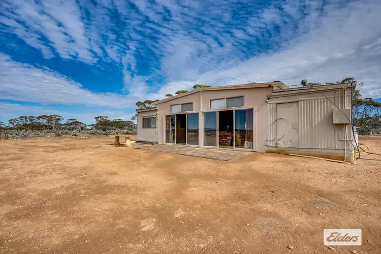 Third view of Homely rural property listing, 209 Nura Road, Morgan SA 5320