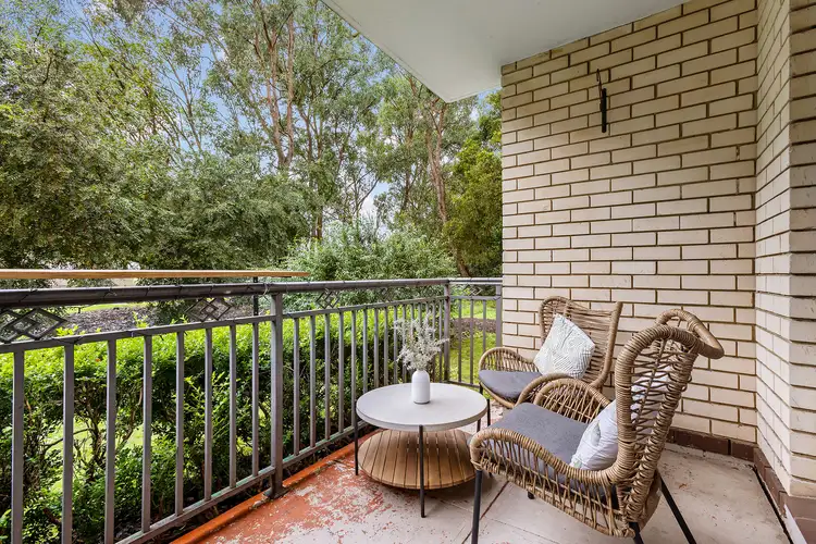 2/1 Evelyn Avenue, Concord NSW 2137