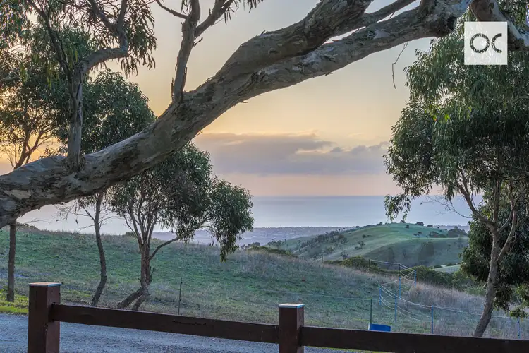 Fifth view of Homely house listing, 113 Mount Terrible Road, Sellicks Hill SA 5174