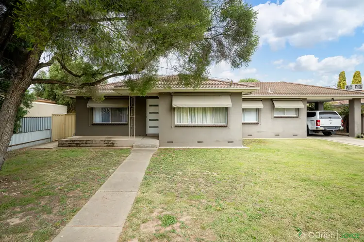 Main view of Homely house listing, 12 Dallwitz Court, Wangaratta VIC 3677
