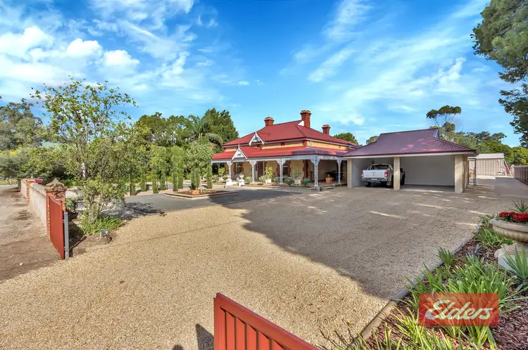 51 Panter Street, Willaston SA 5118