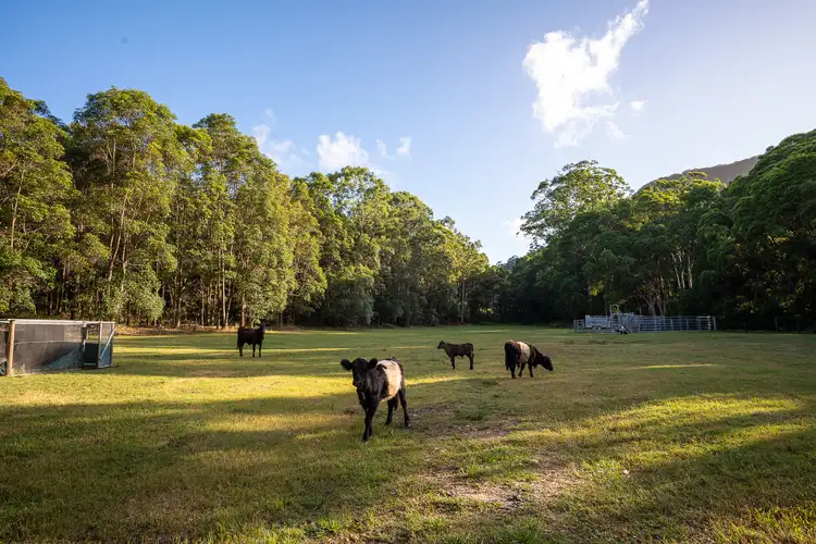 Fourth view of Homely rural property listing, 338 Valdora Road, Valdora QLD 4561
