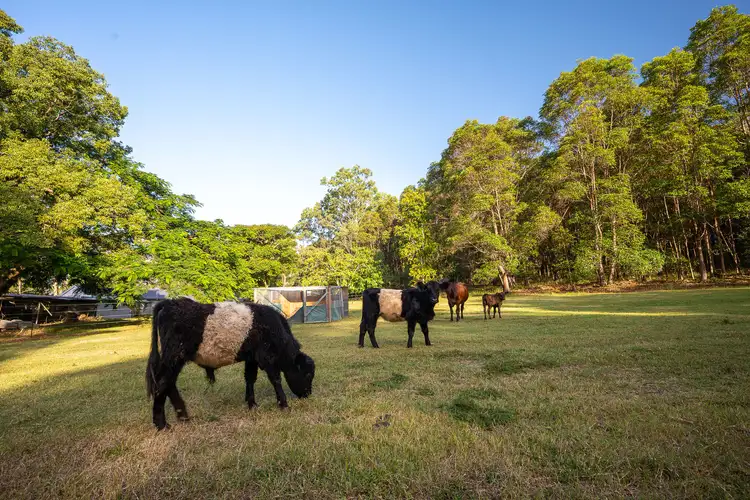 Fifth view of Homely rural property listing, 338 Valdora Road, Valdora QLD 4561