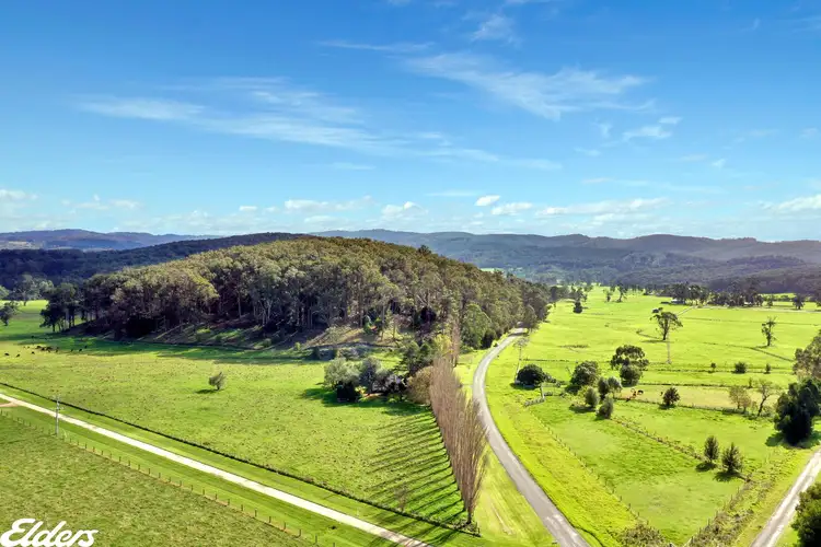 Fifth view of Homely rural property listing, 105 Bulga Park Road, Calrossie VIC 3971
