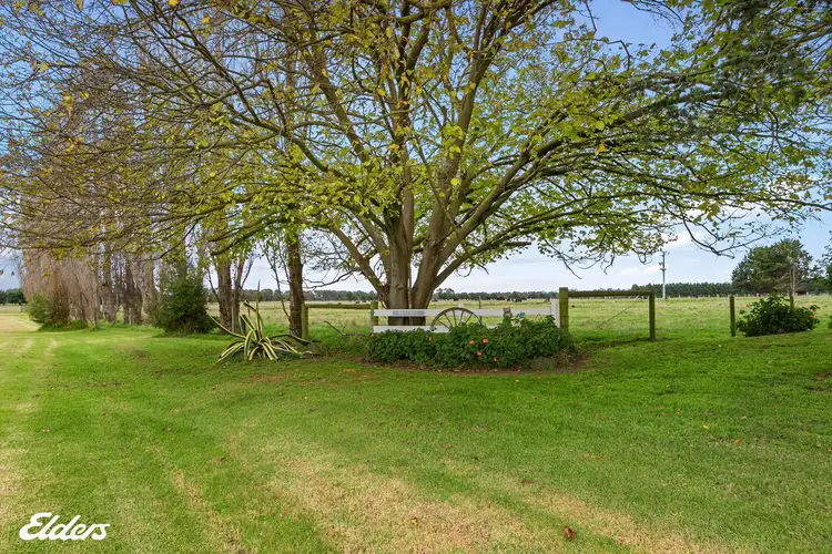 Sixth view of Homely rural property listing, 105 Bulga Park Road, Calrossie VIC 3971