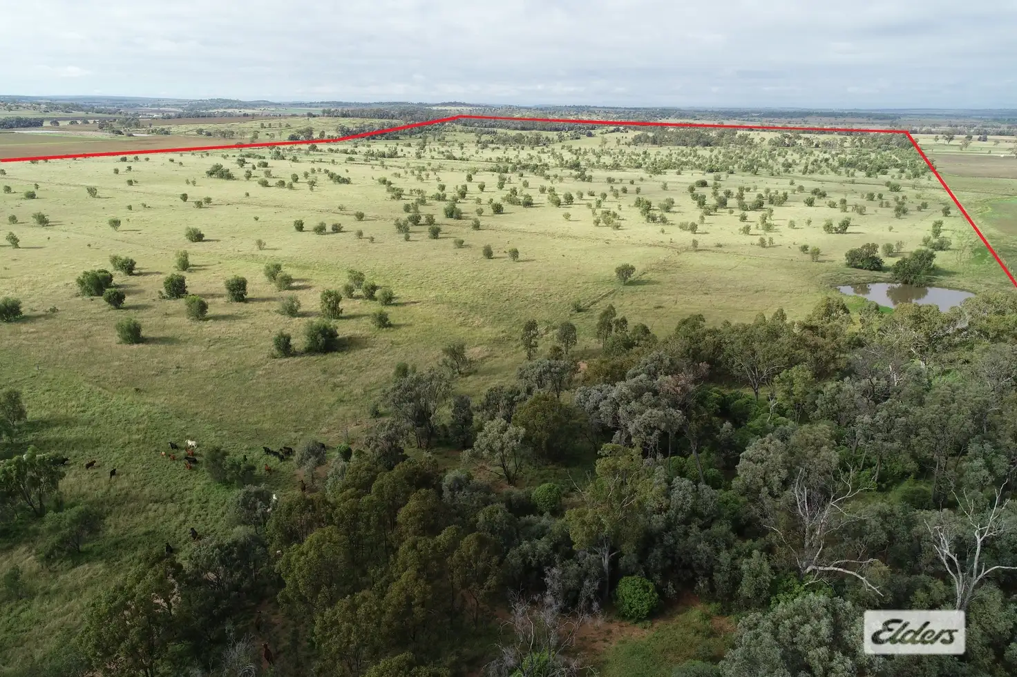 Main view of Homely rural property listing, Lot 1 Peranga-Brymaroo Road, Devon Park QLD 4401