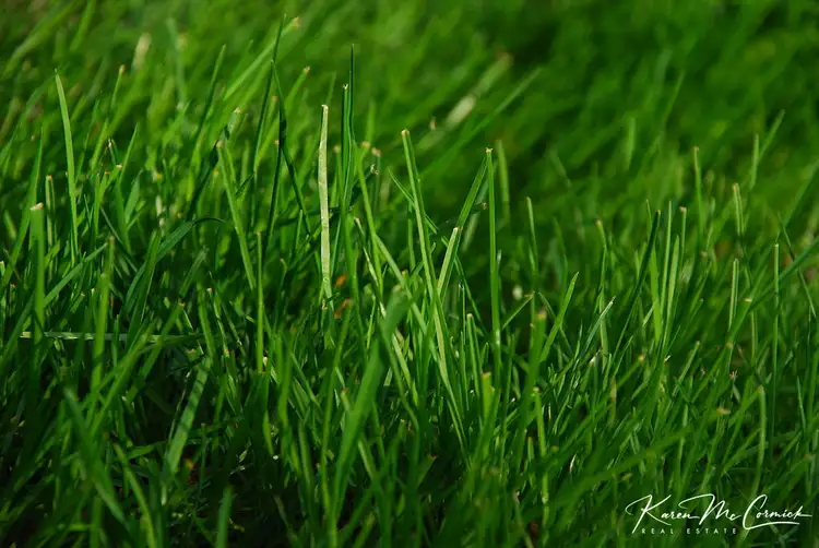 Main view of Homely land listing, LOT 209, 96 Isabella Boulevard, Korumburra VIC 3950