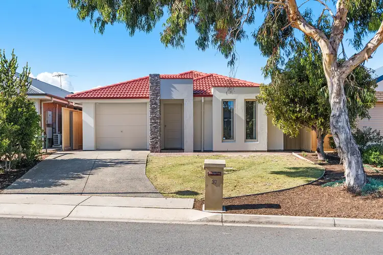 Main view of Homely house listing, 37 Bushtail Avenue, Aldinga Beach SA 5173