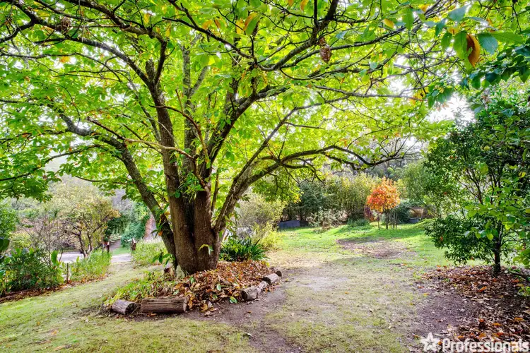 Fifth view of Homely house listing, 11A Little Yarra Road, Yarra Junction VIC 3797