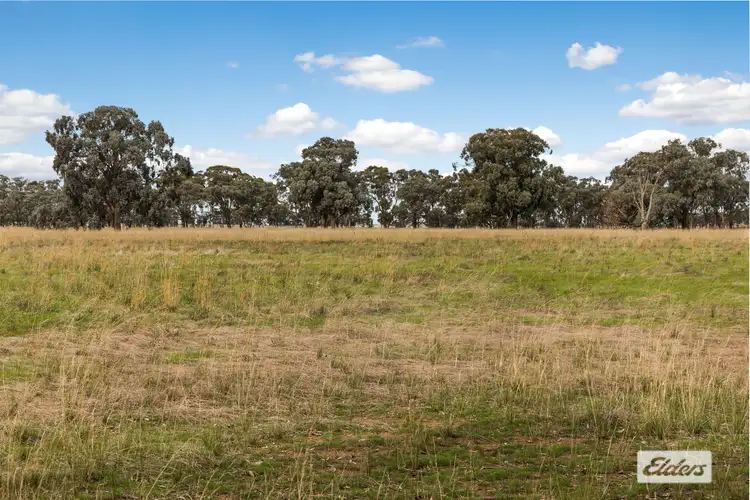 Second view of Homely rural property listing, 551 Toolleen-Axedale Road, Axedale VIC 3551