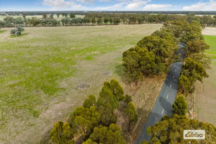 Third view of Homely rural property listing, 551 Toolleen-Axedale Road, Axedale VIC 3551