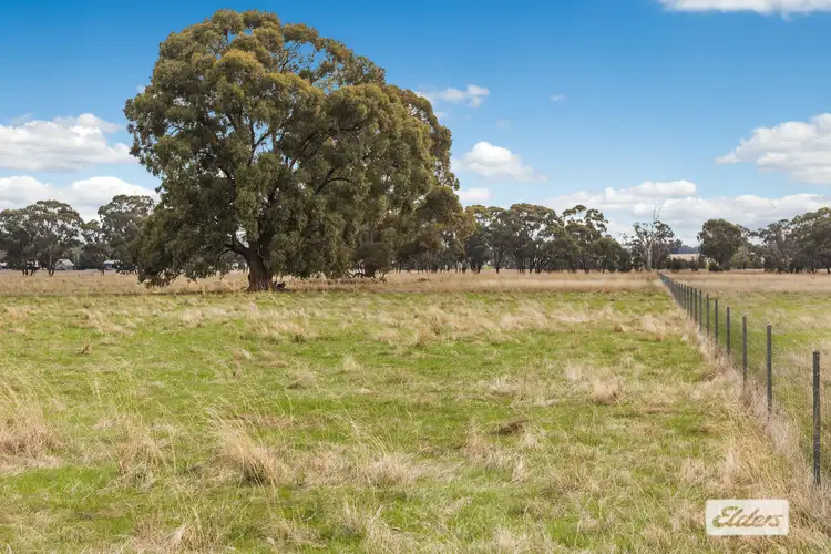 Fourth view of Homely rural property listing, 551 Toolleen-Axedale Road, Axedale VIC 3551