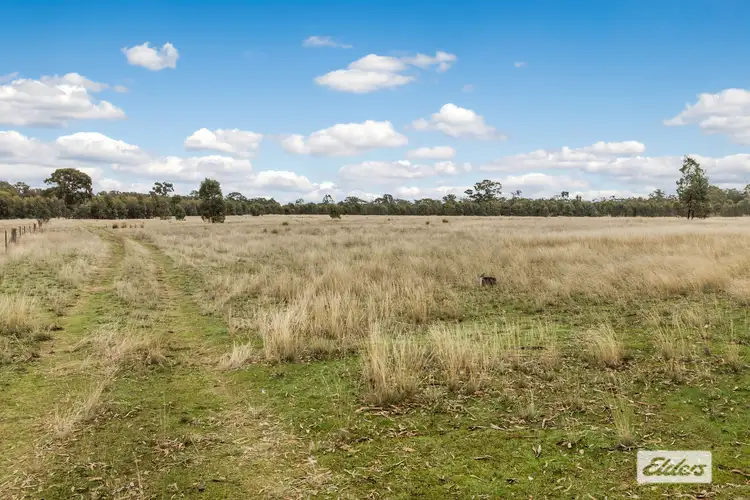 Fifth view of Homely rural property listing, 551 Toolleen-Axedale Road, Axedale VIC 3551