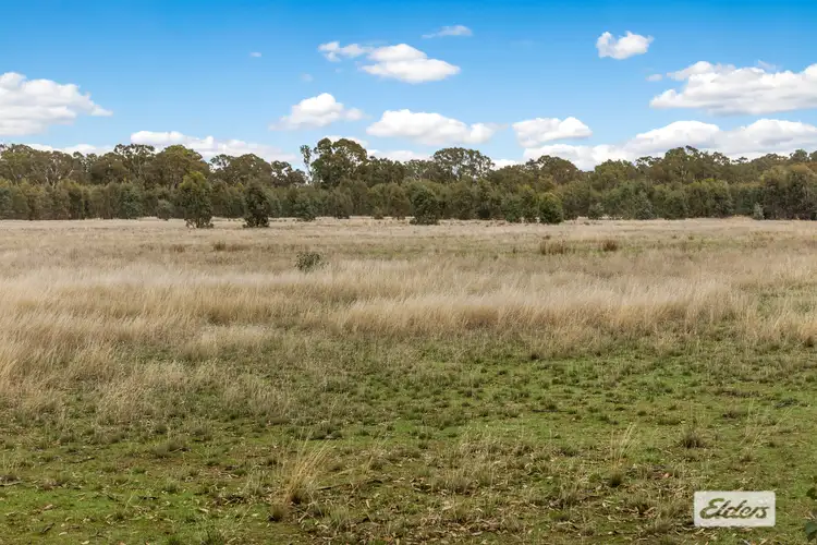 Sixth view of Homely rural property listing, 551 Toolleen-Axedale Road, Axedale VIC 3551