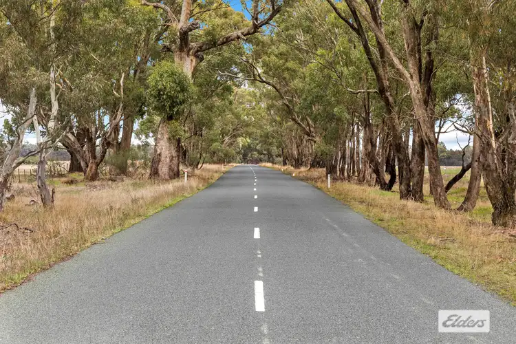 Seventh view of Homely rural property listing, 551 Toolleen-Axedale Road, Axedale VIC 3551