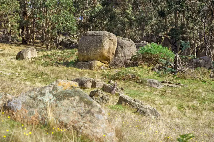 Fourth view of Homely rural property listing, 311 Kippings Road, Strathbogie VIC 3666