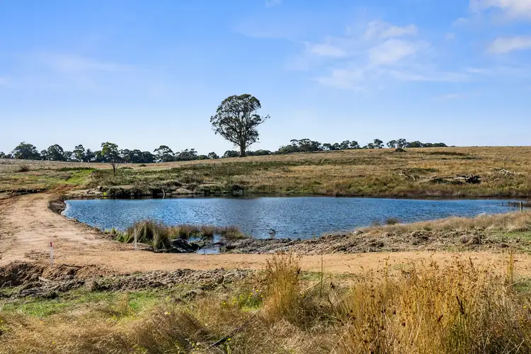 Seventh view of Homely rural property listing, 311 Kippings Road, Strathbogie VIC 3666