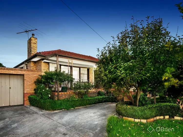 Main view of Homely house listing, 24 Briggs Street, Mount Waverley VIC 3149