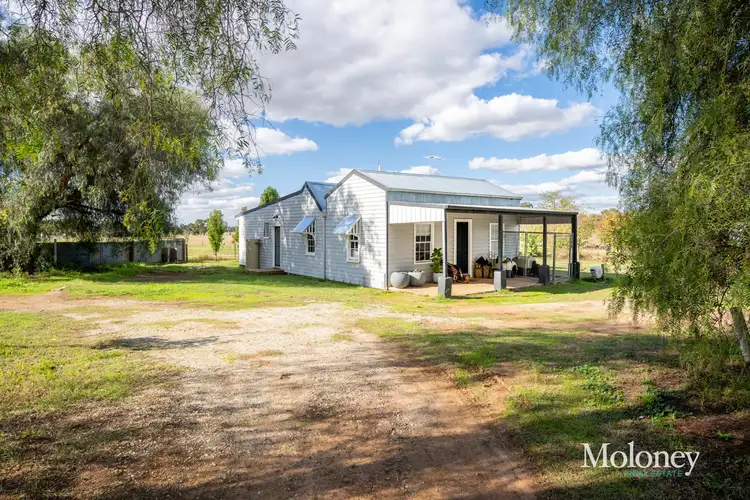 Main view of Homely house listing, 16 Waldrons Lane, Rutherglen VIC 3685
