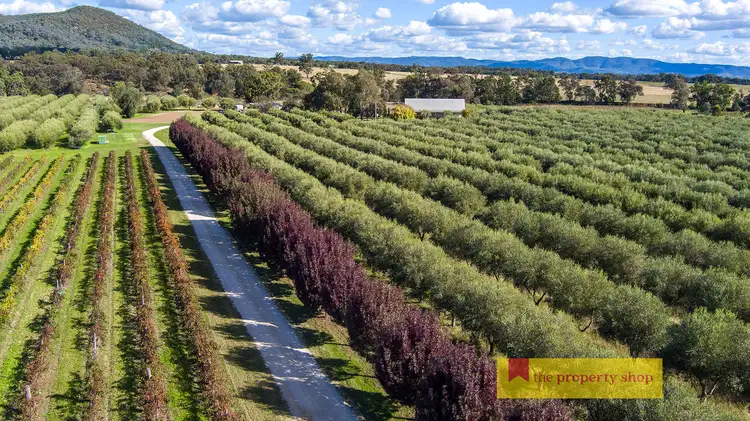 66 Pipeclay Lane, Mudgee NSW 2850