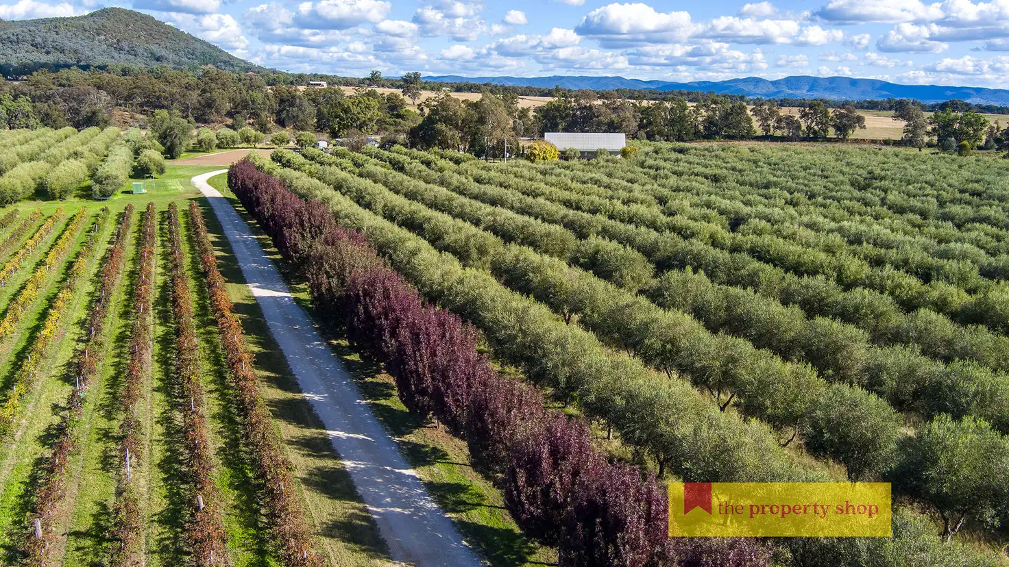 Main view of Homely rural property listing, 66 Pipeclay Lane, Mudgee NSW 2850